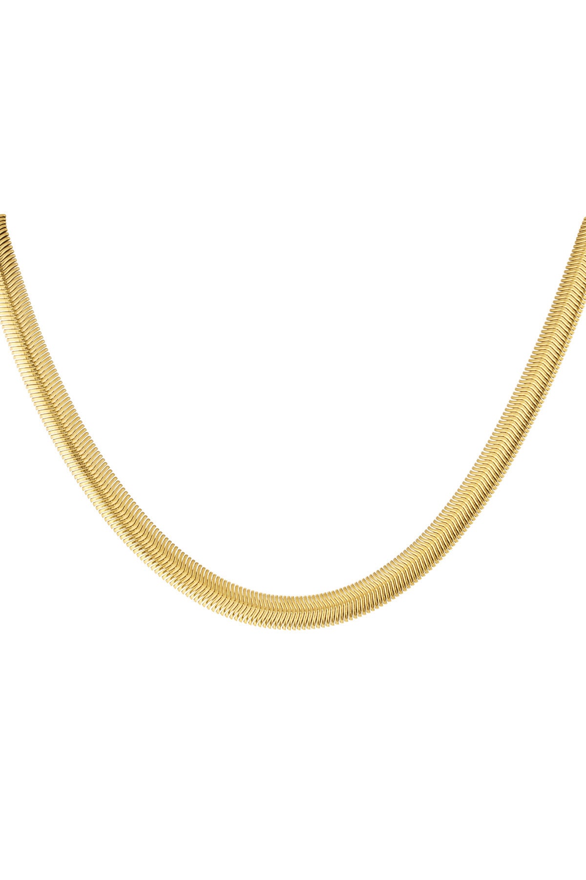 Chaîne plate | Or