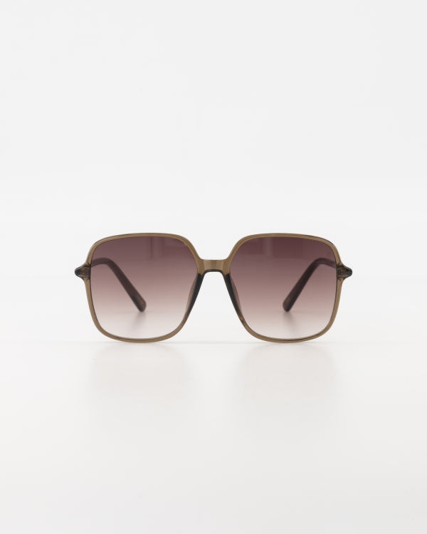 Zonnebril Malibu | Espresso