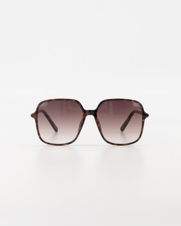 Zonnebril Malibu | Luipaard Tortoise