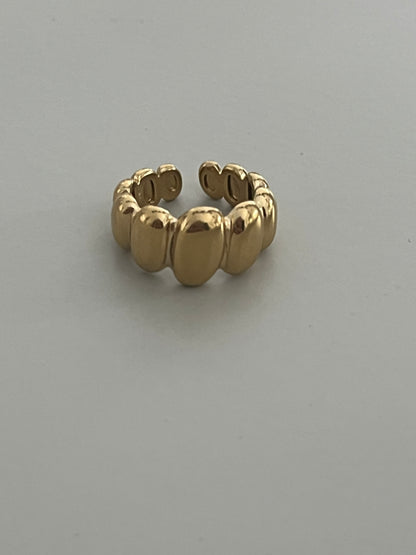 Dasha Ring