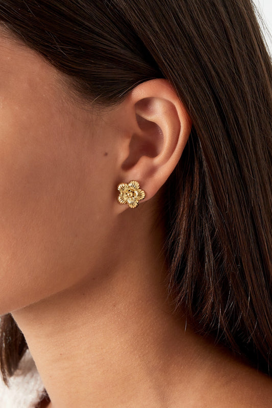 Daisy Dots Oorknoppen