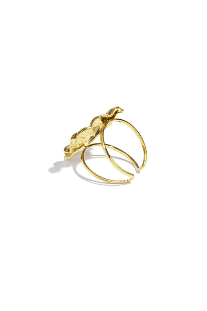 Ring Celeste